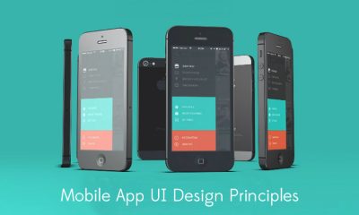 Principles to Develop Mobile Apps
